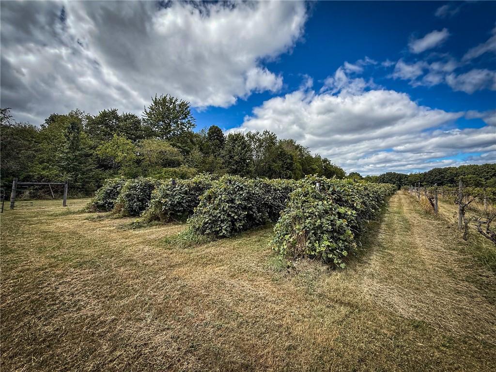 115 Dreher Farm Lane Butler, PA 16002 - Photo 5 of 48 a view of a yard with an outdoor space