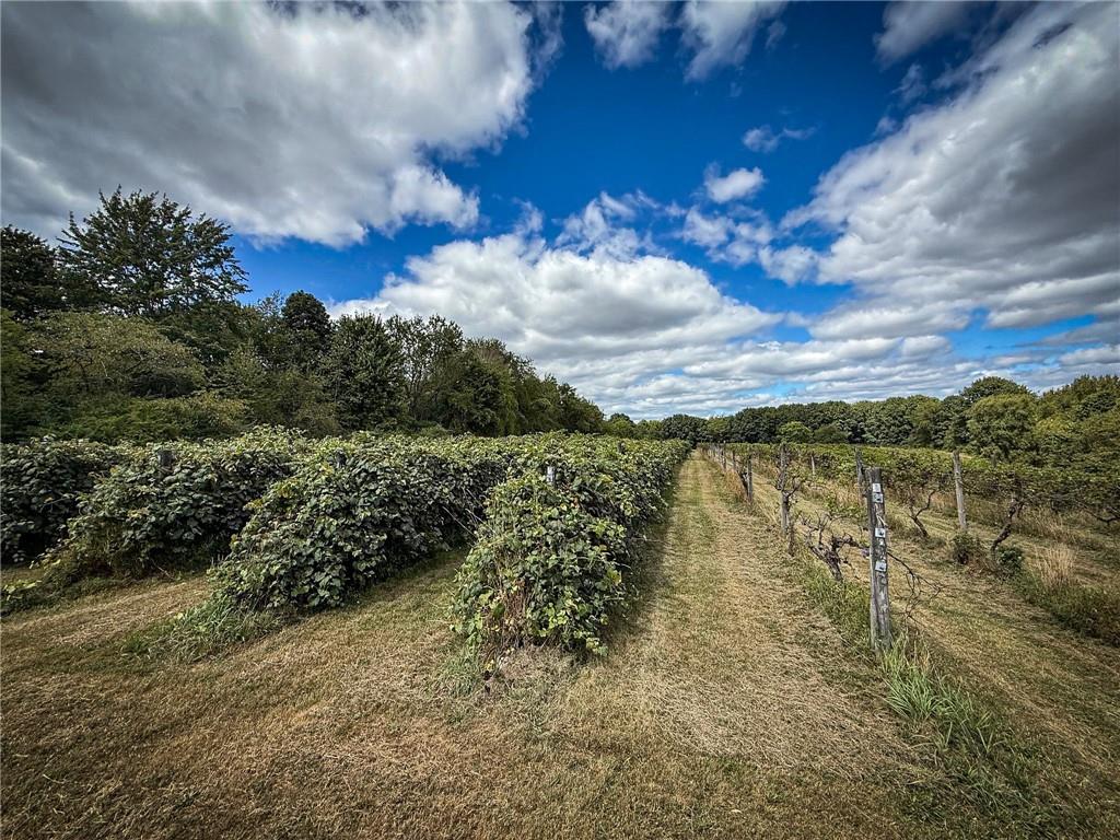 115 Dreher Farm Lane Butler, PA 16002 - Photo 6 of 48 a view of a lake