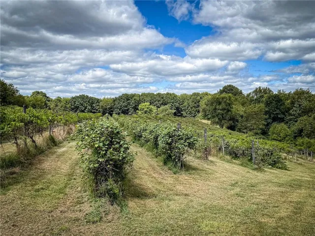 a view of a lake with houses in the back