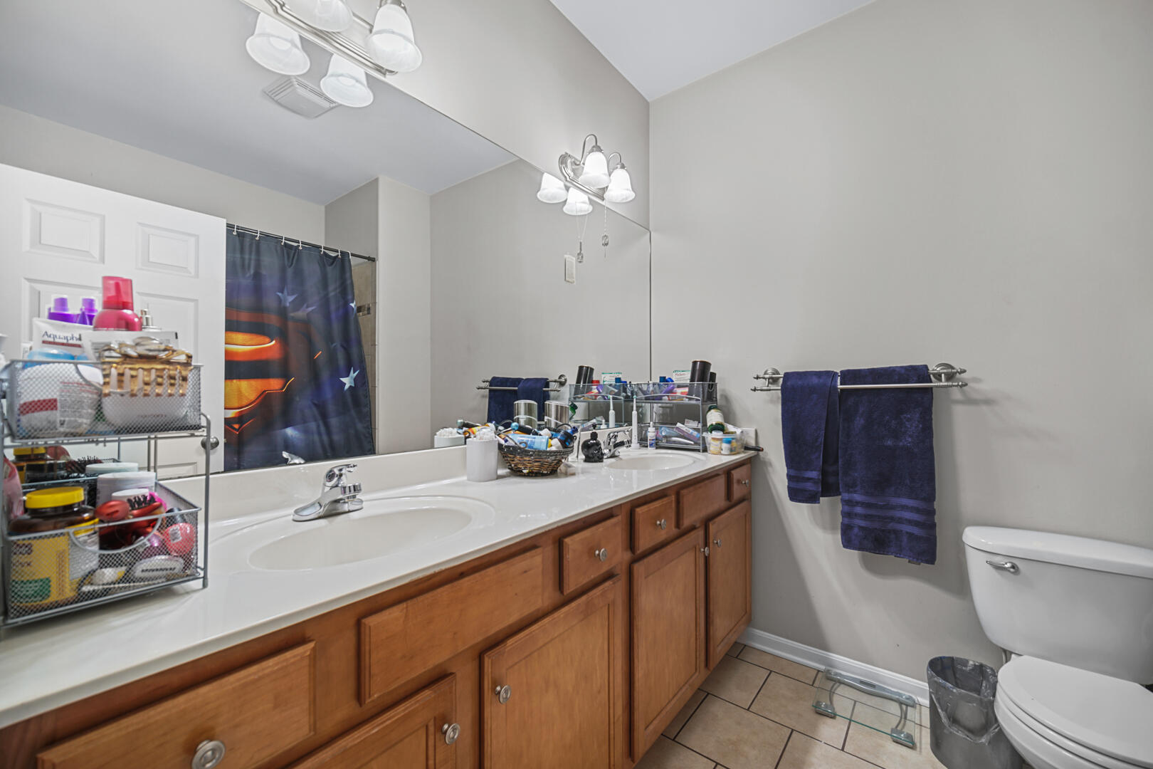 1055 Doe Path Lane Crown Point, IN 46307 - Photo 21 of 26 a bathroom with a sink a toilet and shower