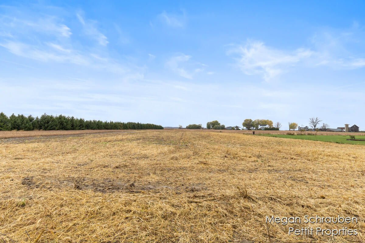 V/l Tallman Road Fowler, MI 48835 - Photo 1 of 1 IMG_1019