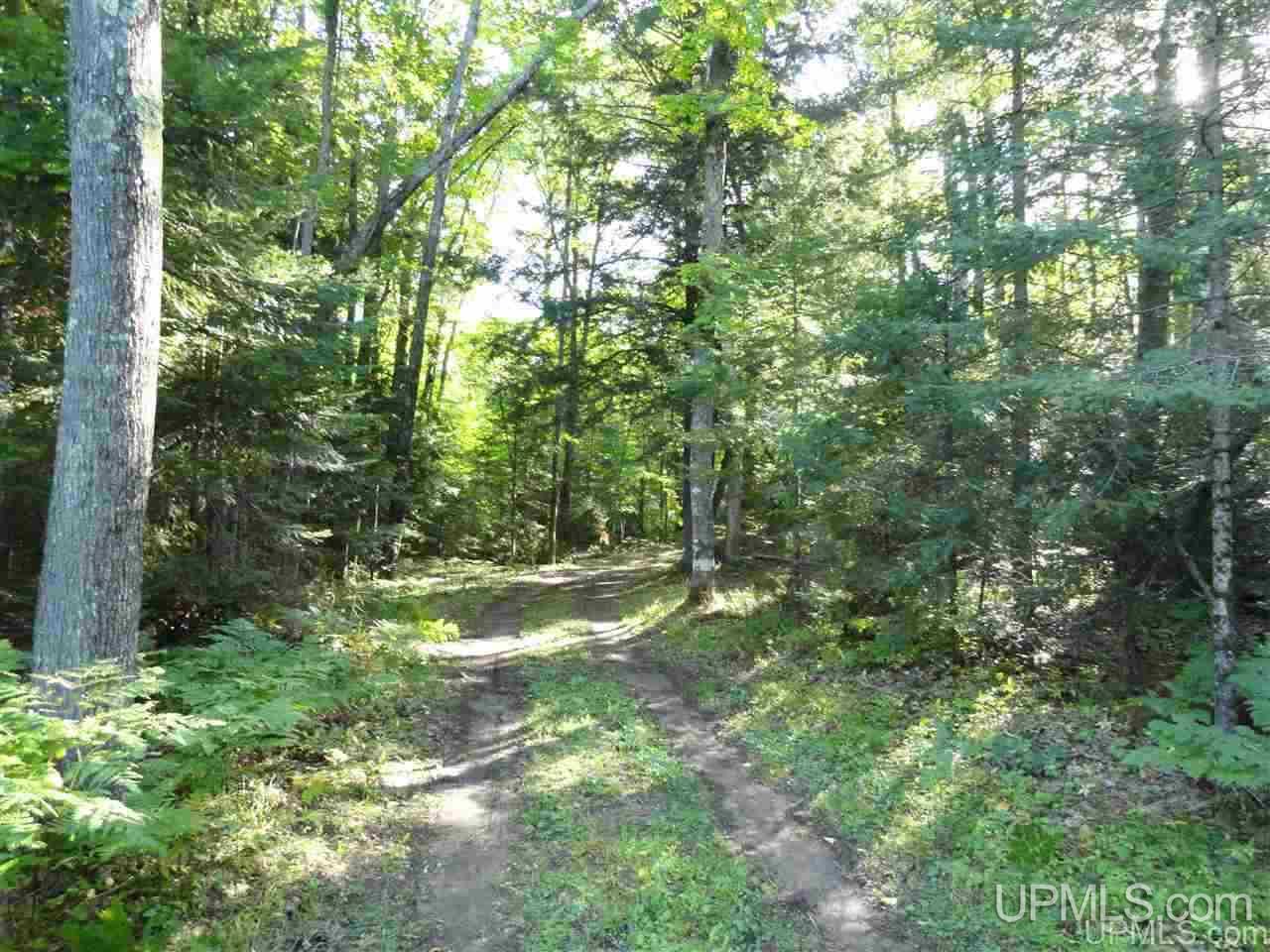 5-acres Co Rd Sa Cornell, MI 49818 - Photo 26 of 27