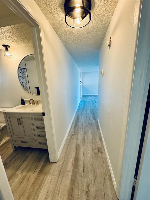 7116 Green Street New Port Richey, FL 34652 - Photo 11 of 18