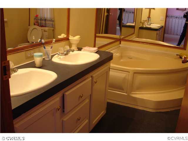 807 Scotts Bottom Road Dillwyn, VA 23936 - Photo 5 of 6 a bathroom with a sink and a mirror