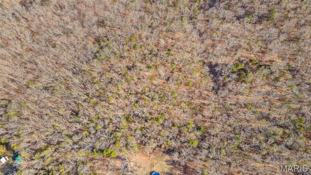 0 Twin Ridge Road Cedar Hill, MO 63016 - Photo 8 of 12