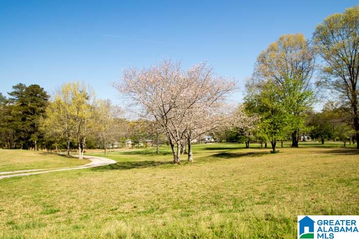 2140 Springdale Road Bessemer, AL 35022 - Photo 37 of 39