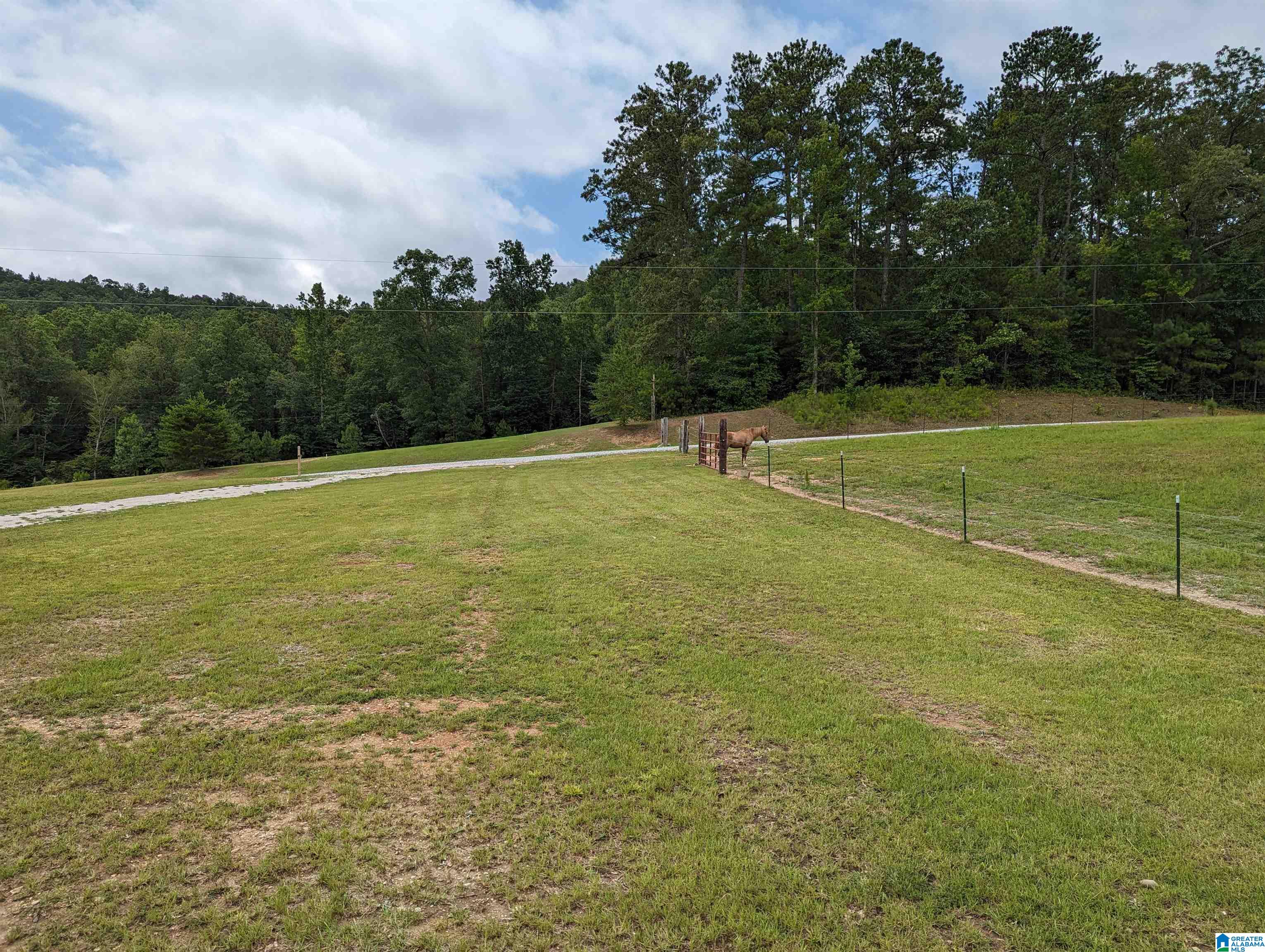 239 County Road 835 Clanton, AL 35046 - Photo 49 of 55