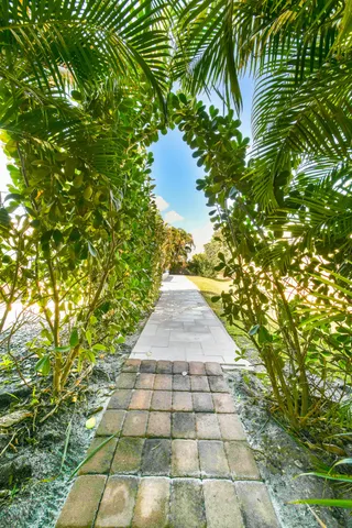 a view of a pathway both side of white house