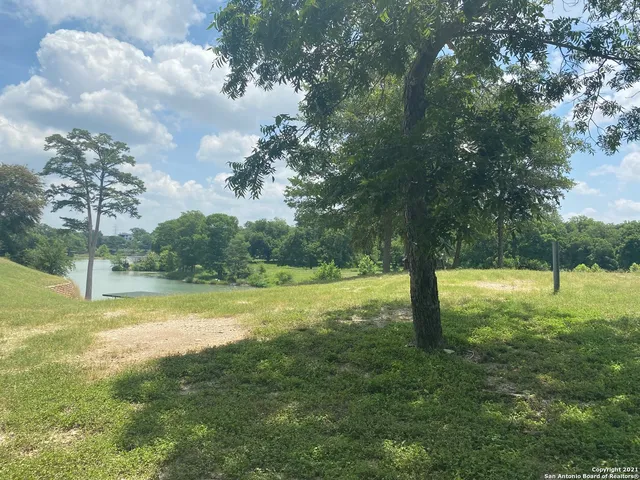 a view of a yard with a tree