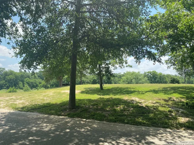 a view of a field with a tree