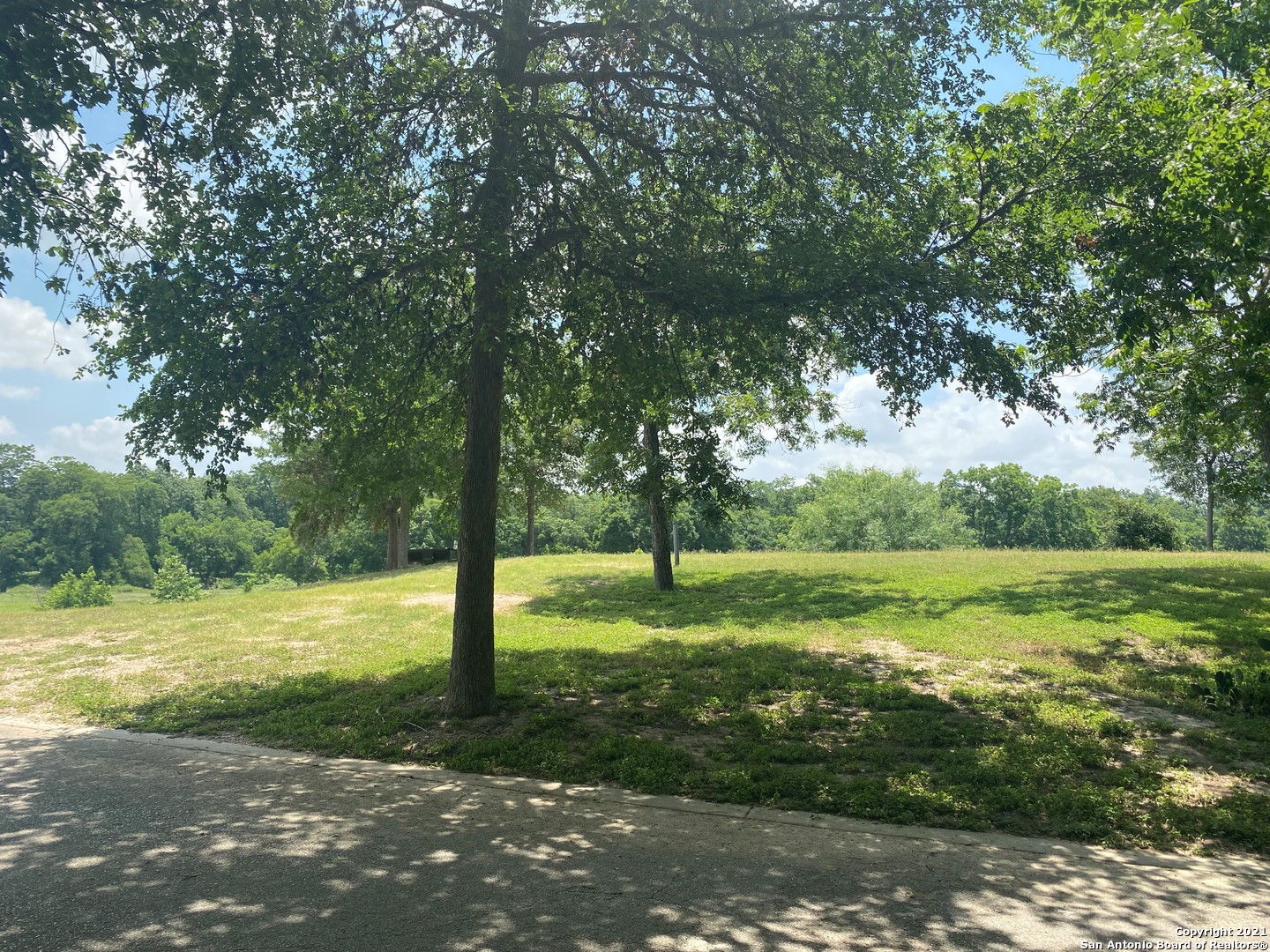 585-591 Vista Del Rio New Braunfels, TX 78130 - Photo 8 of 12 a view of a field with a tree