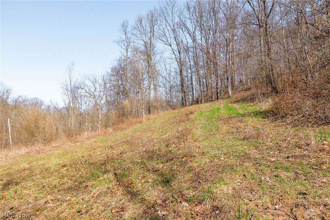 Sheepskin Ridge Road Lower Salem, OH 45745 - Photo 16 of 50 View of local wilderness