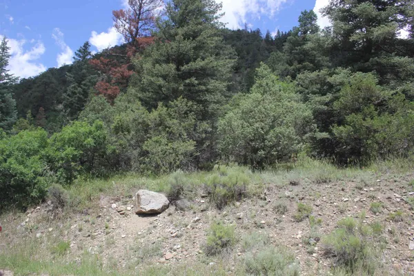 $150,000 | 12-acres Cabresto Canyon Road, Questa, NM 87556