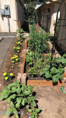 a bunch of flowers in front of the house