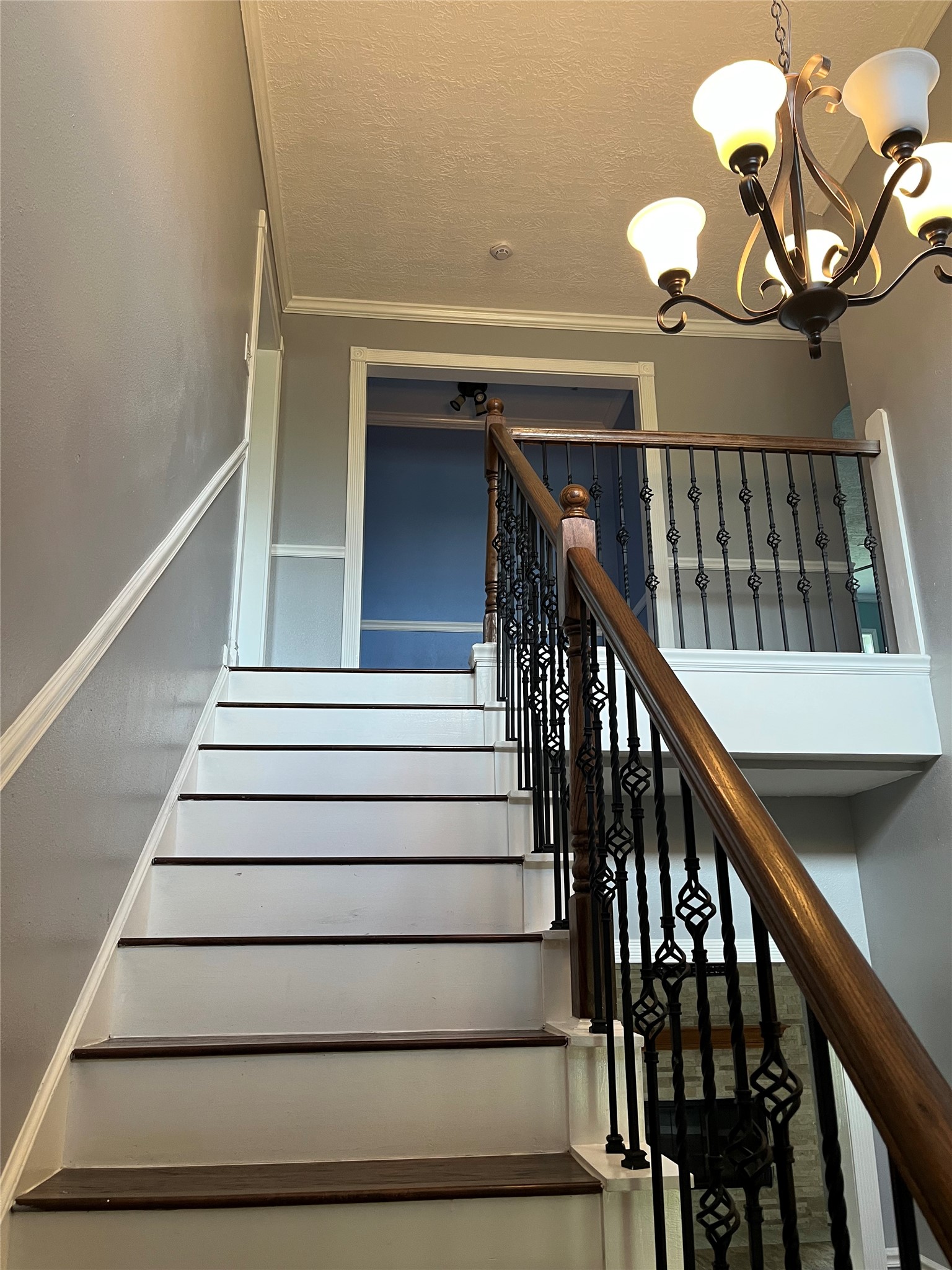 6630 Bailey Road Pearland, TX 77584 - Photo 15 of 24