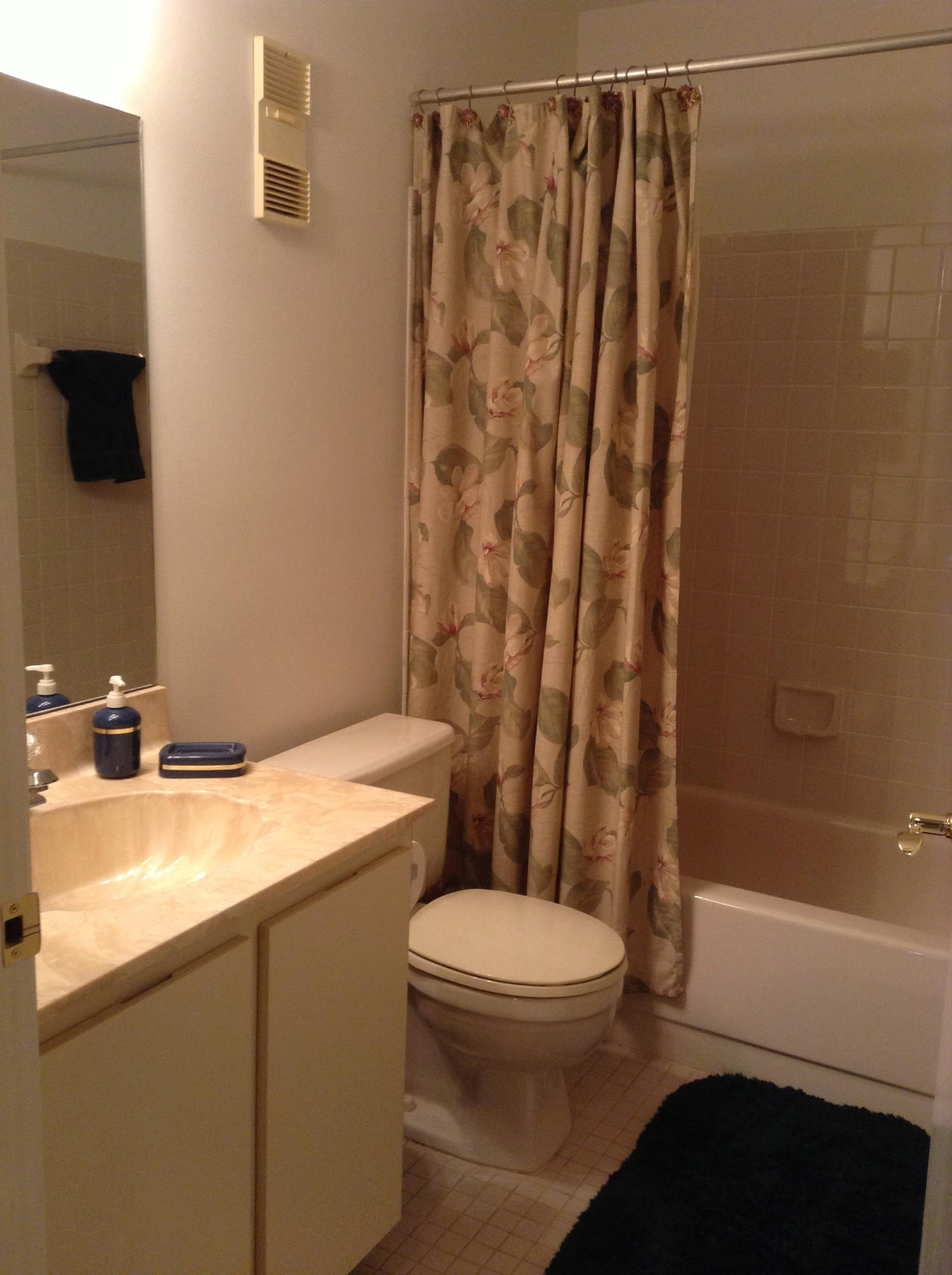 8919 Sunscape Lane Boca Raton, FL 33496 - Photo 12 of 15 IMG_0420