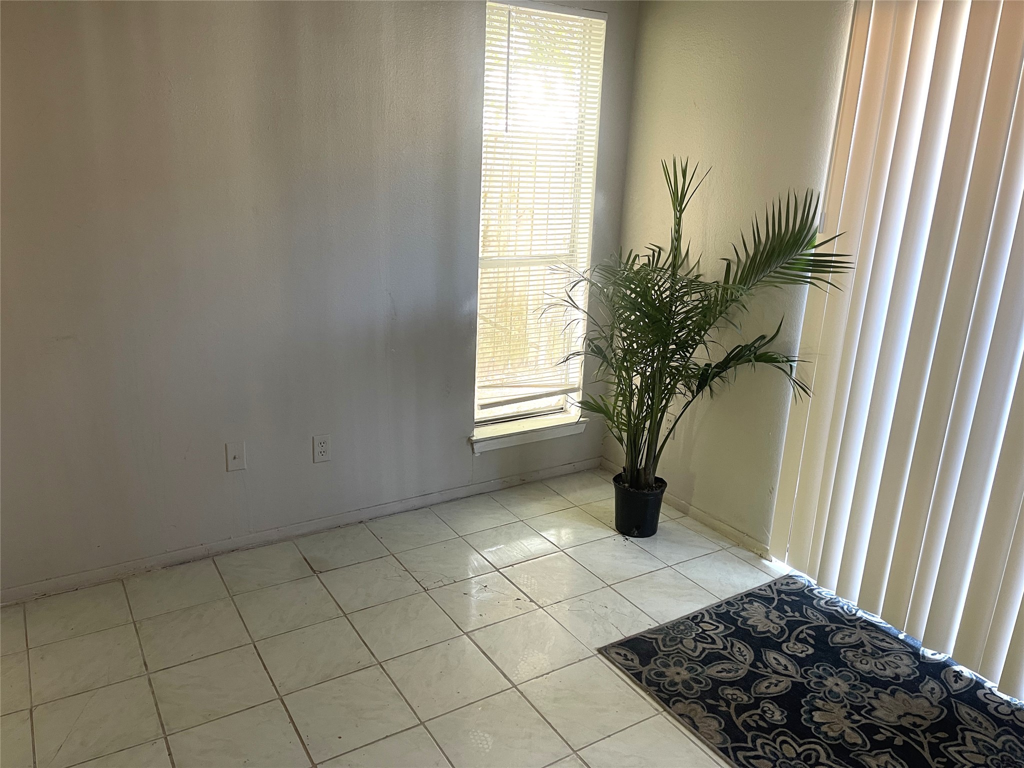 1902 West Loop, Unit A1 Austin, TX 78758 - Photo 6 of 22 a vase of flowers sitting on a table