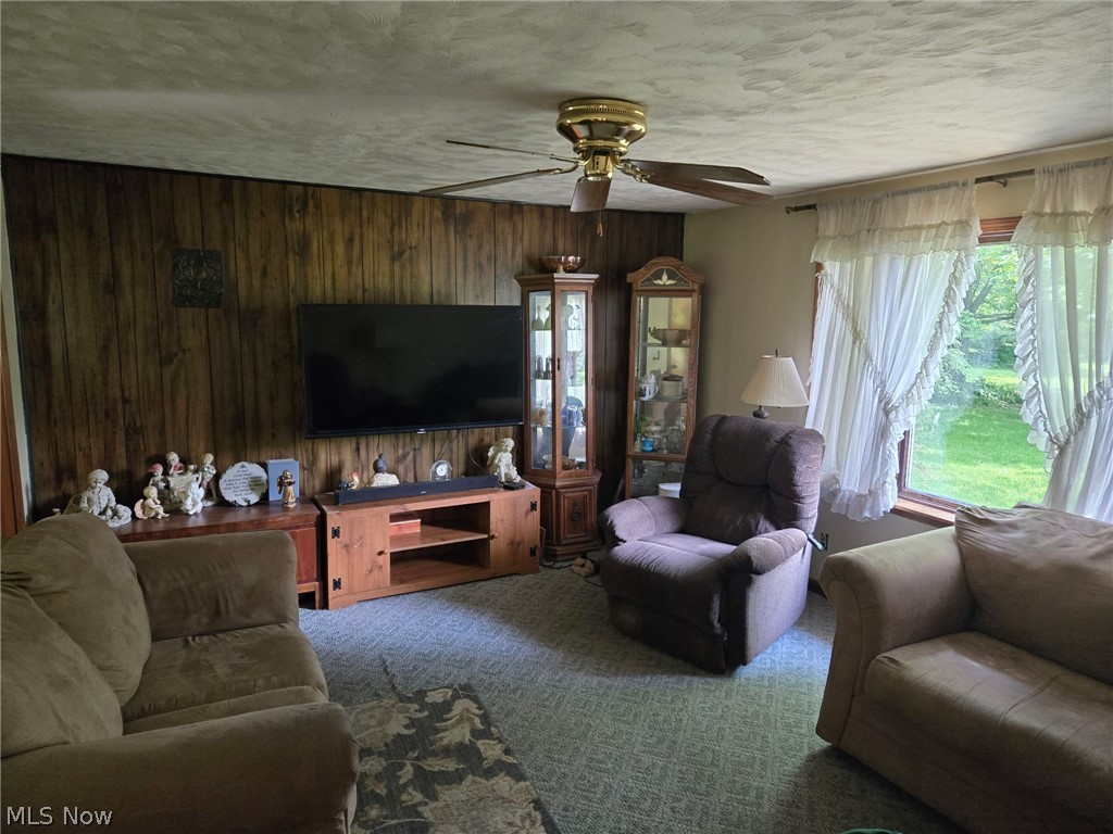 348 Fox Lake Road Wooster, OH 44691 - Photo 4 of 7