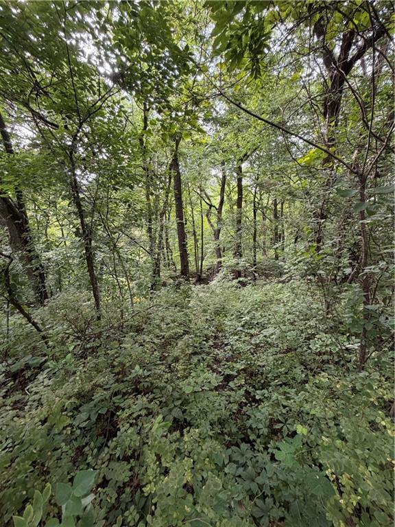 954 Tioga Road Wathena, KS 66090 - Photo 49 of 70 Gallery Image 49