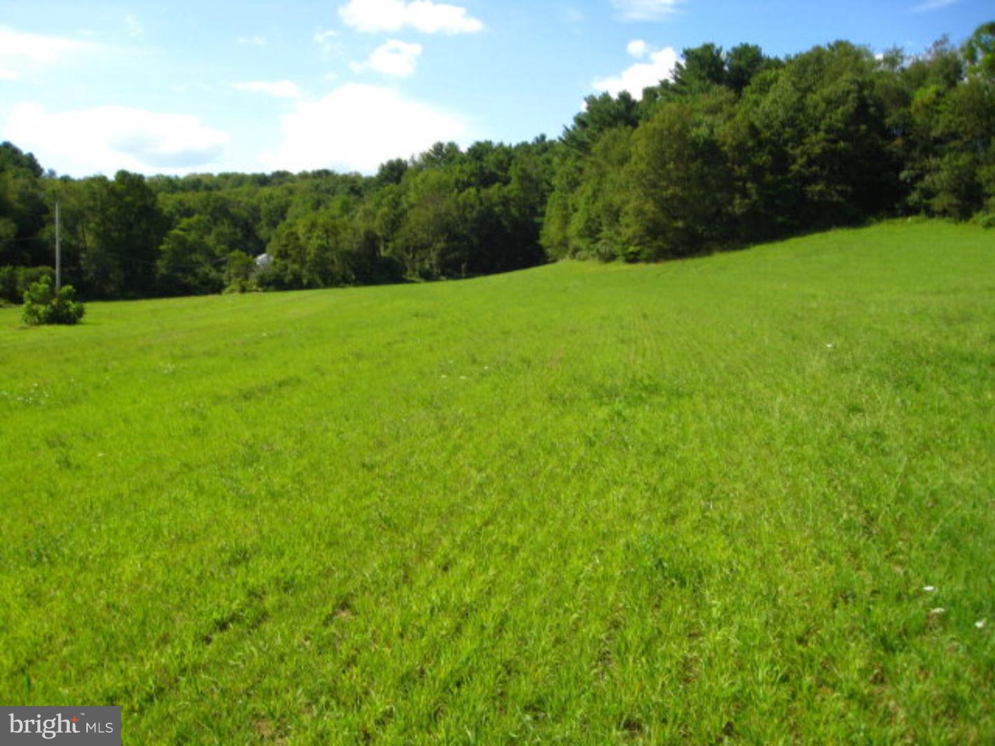 0 Pine Ridge Road Andreas, PA 18211 - Photo 2 of 6 Gallery Image 2