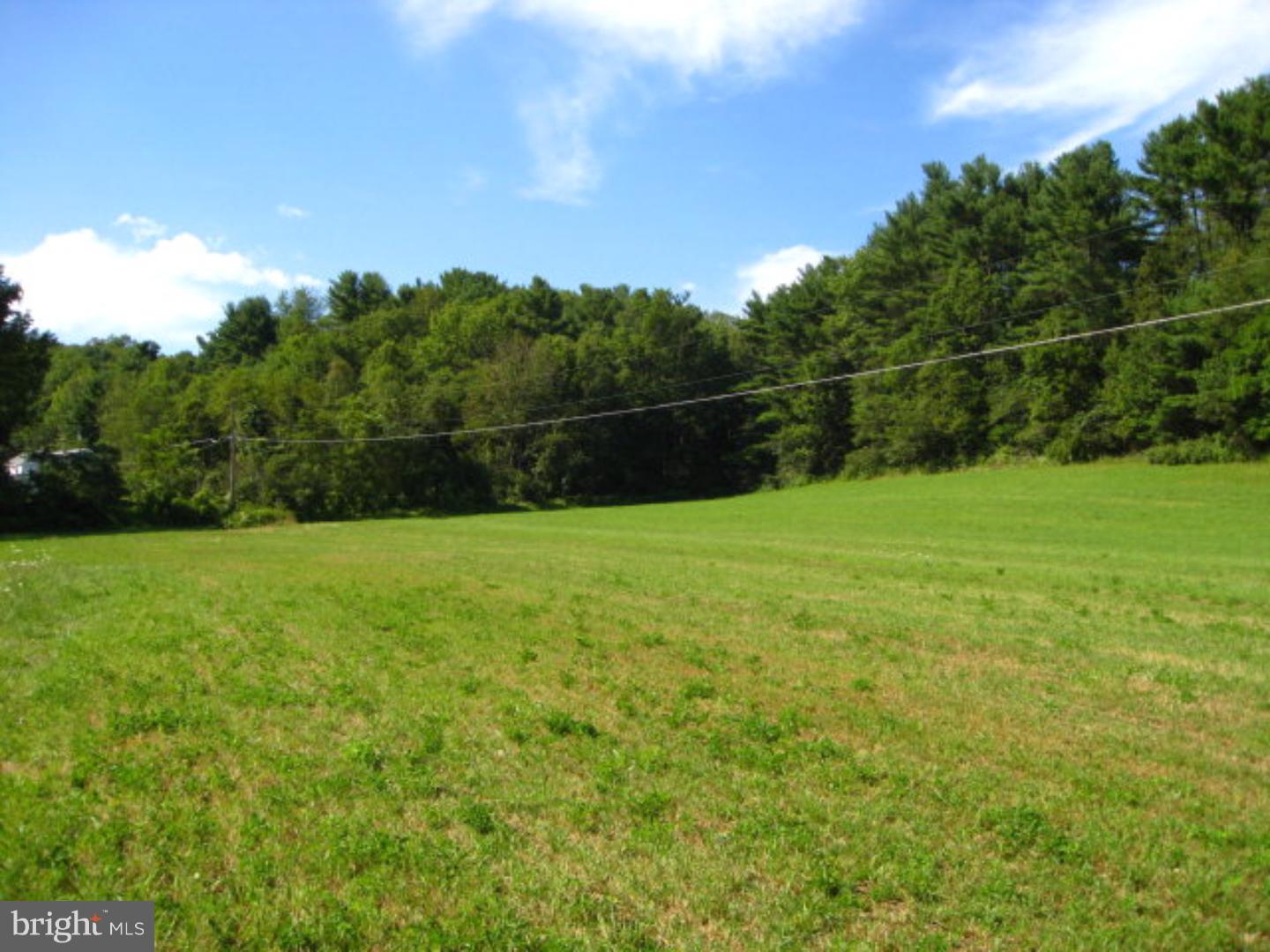 0 Pine Ridge Road Andreas, PA 18211 - Photo 4 of 6 Gallery Image 4