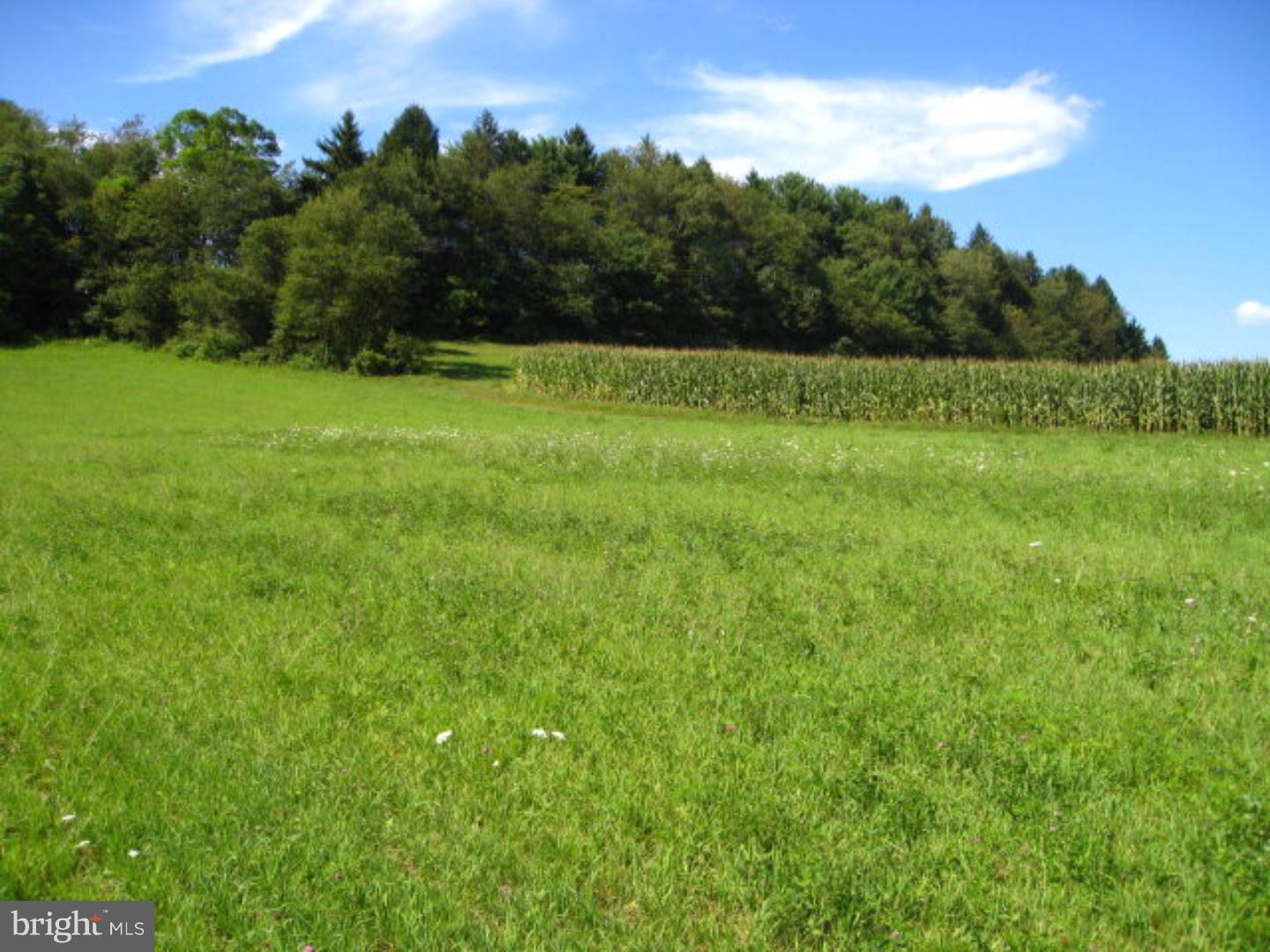 0 Pine Ridge Road Andreas, PA 18211 - Photo 5 of 6 Gallery Image 5