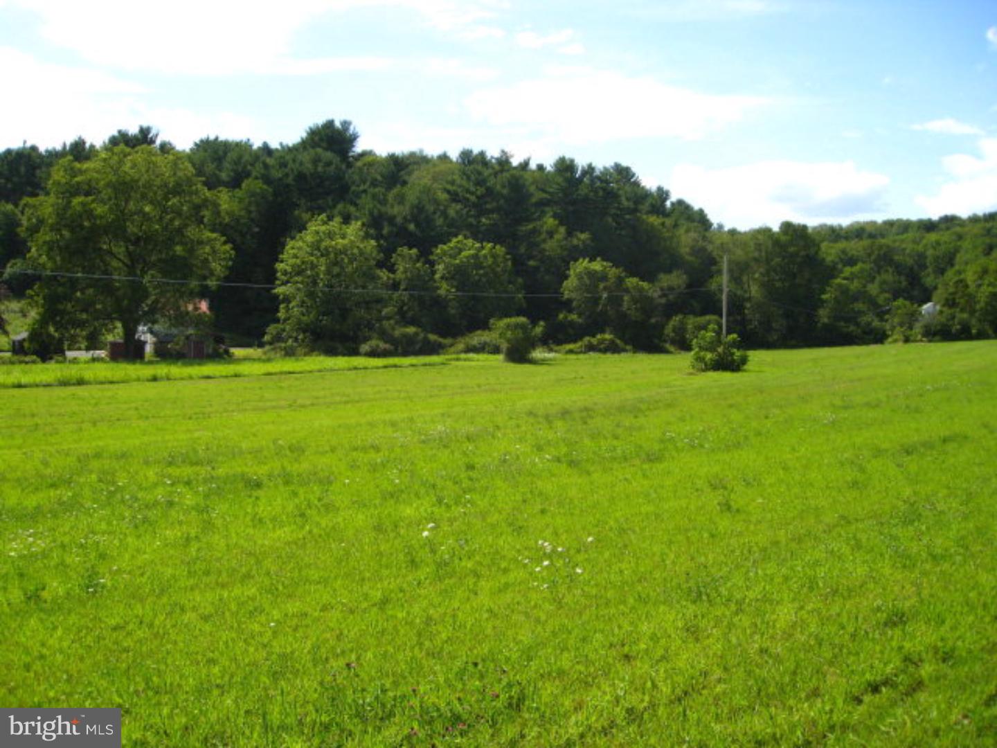 0 Pine Ridge Road Andreas, PA 18211 - Photo 6 of 6 Gallery Image 6