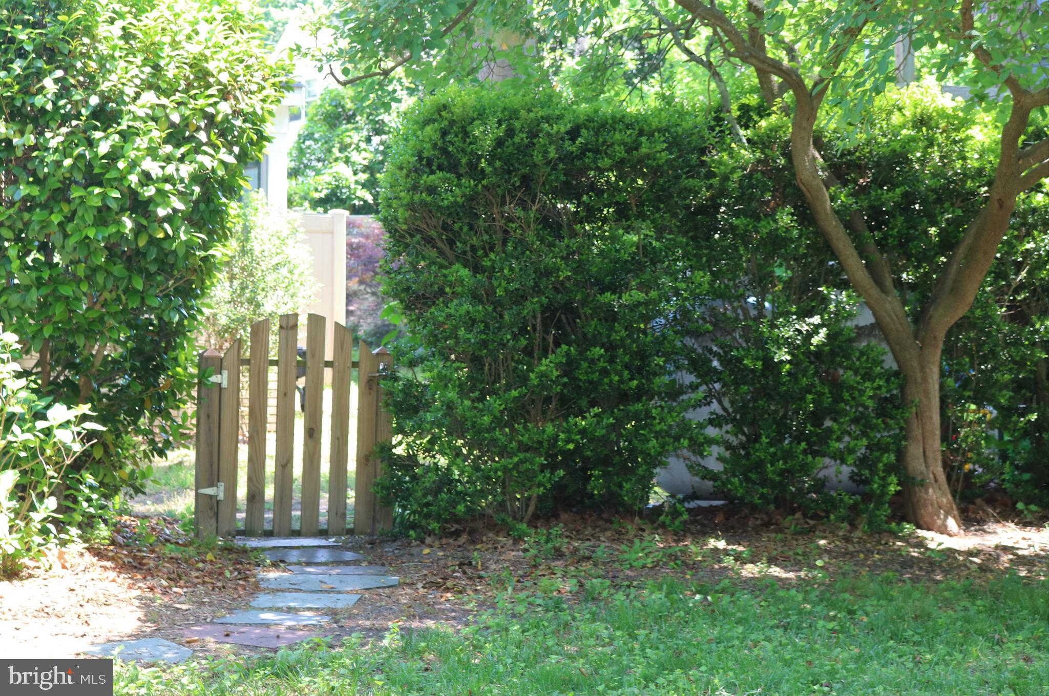 1509 Riverside Drive Salisbury, MD 21801 - Photo 33 of 34 Path into back yard