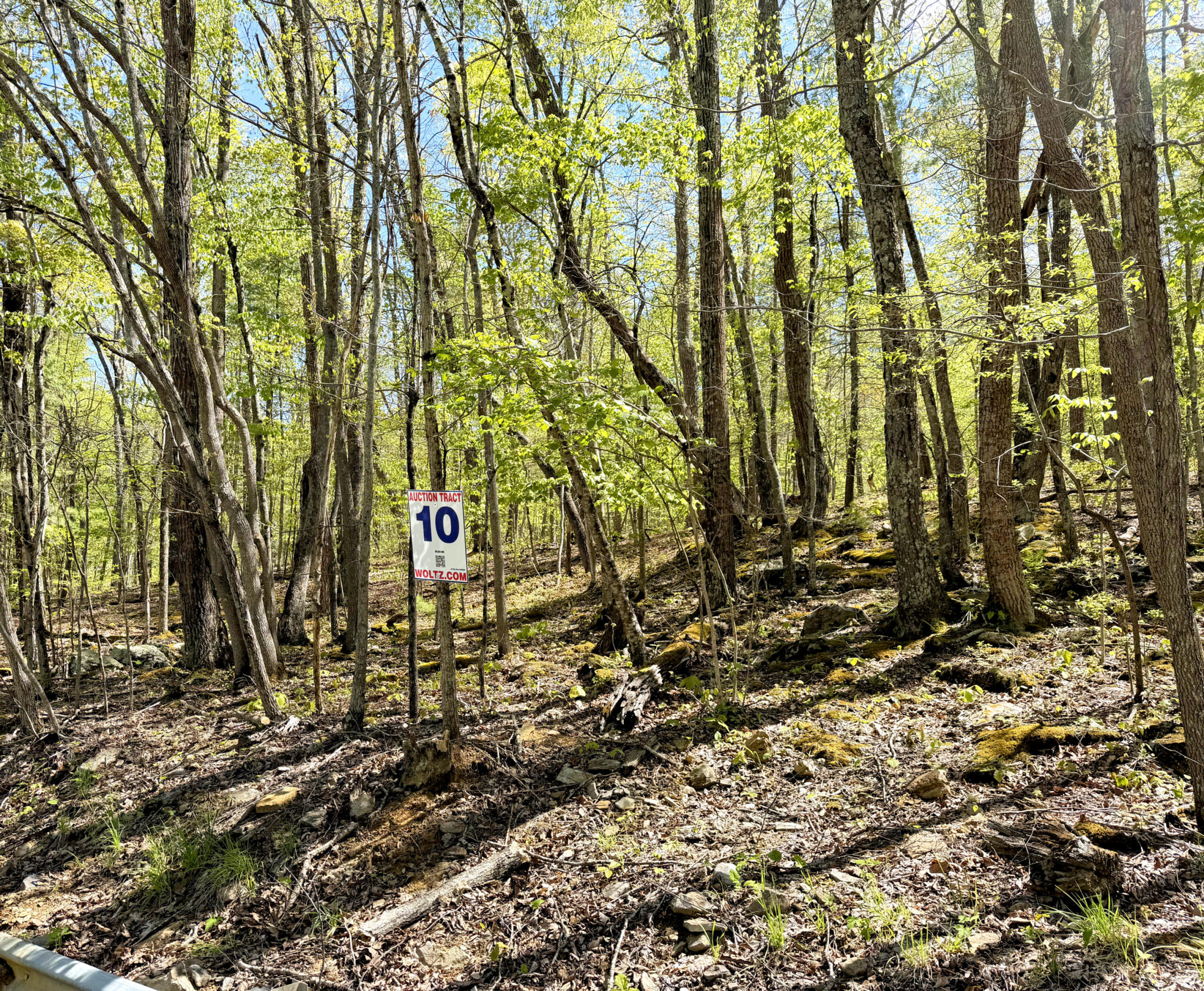 0 Iona Road White Oak, WV 25989 - Photo 6 of 150 Tract-10-IMG_4463-scaled