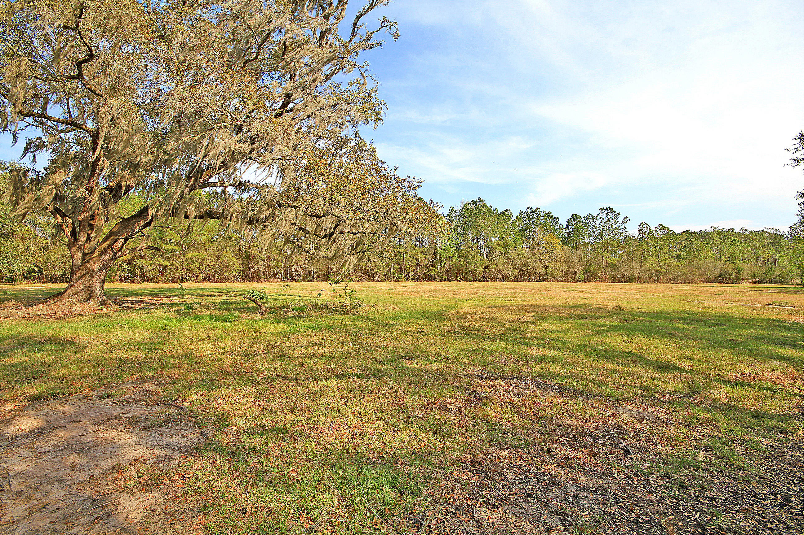 8040 White Point Road Hollywood, SC 29449 - Photo 21 of 49 Cleared Pasture