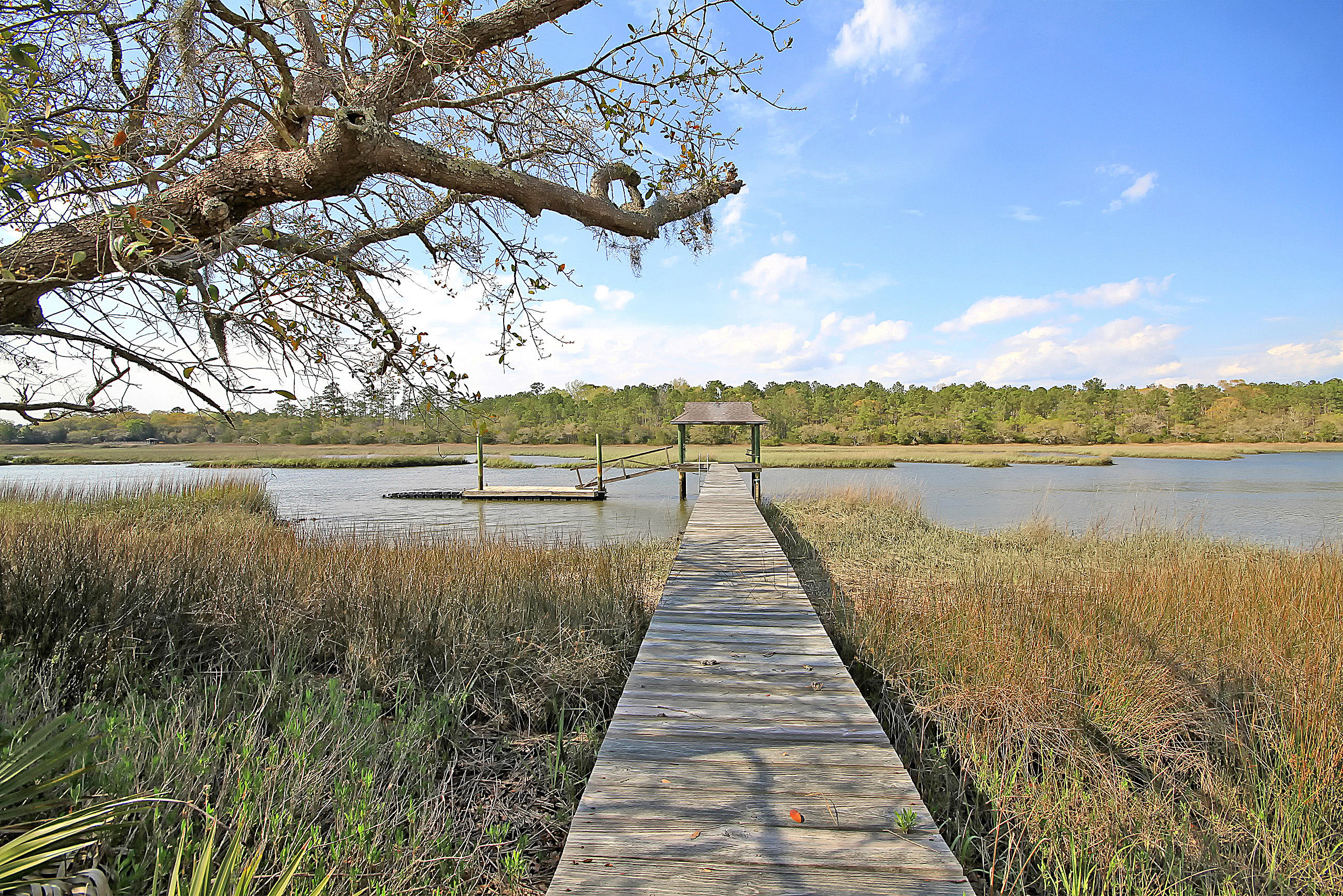 8040 White Point Road Hollywood, SC 29449 - Photo 10 of 49 8040 White Point