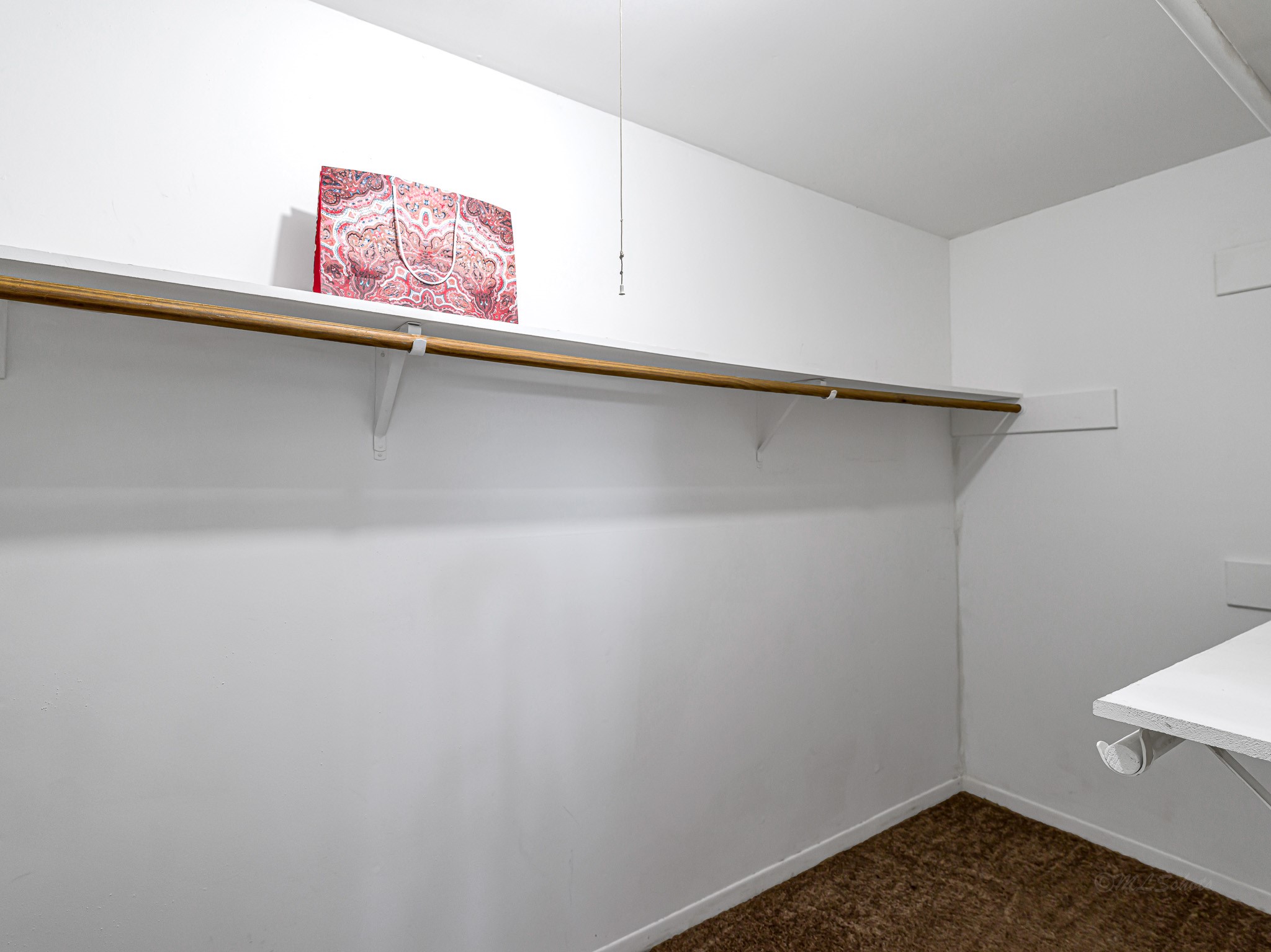 6230 Sunnygate Drive Spring, TX 77373 - Photo 21 of 33 Primary closet has plenty of storage space.