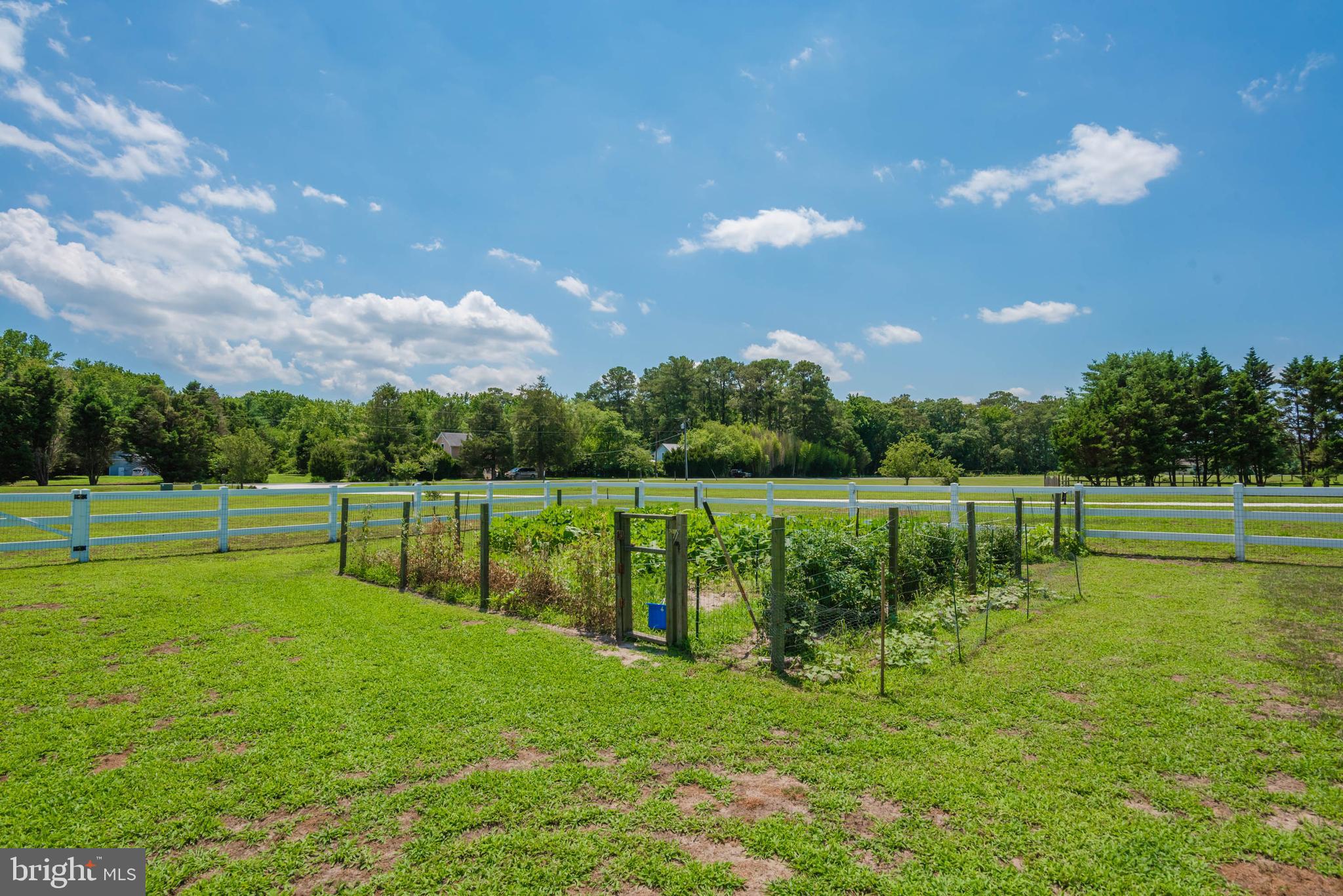 10221 Hammond Road Bishopville, MD 21813 - Photo 59 of 77 Gallery Image 59