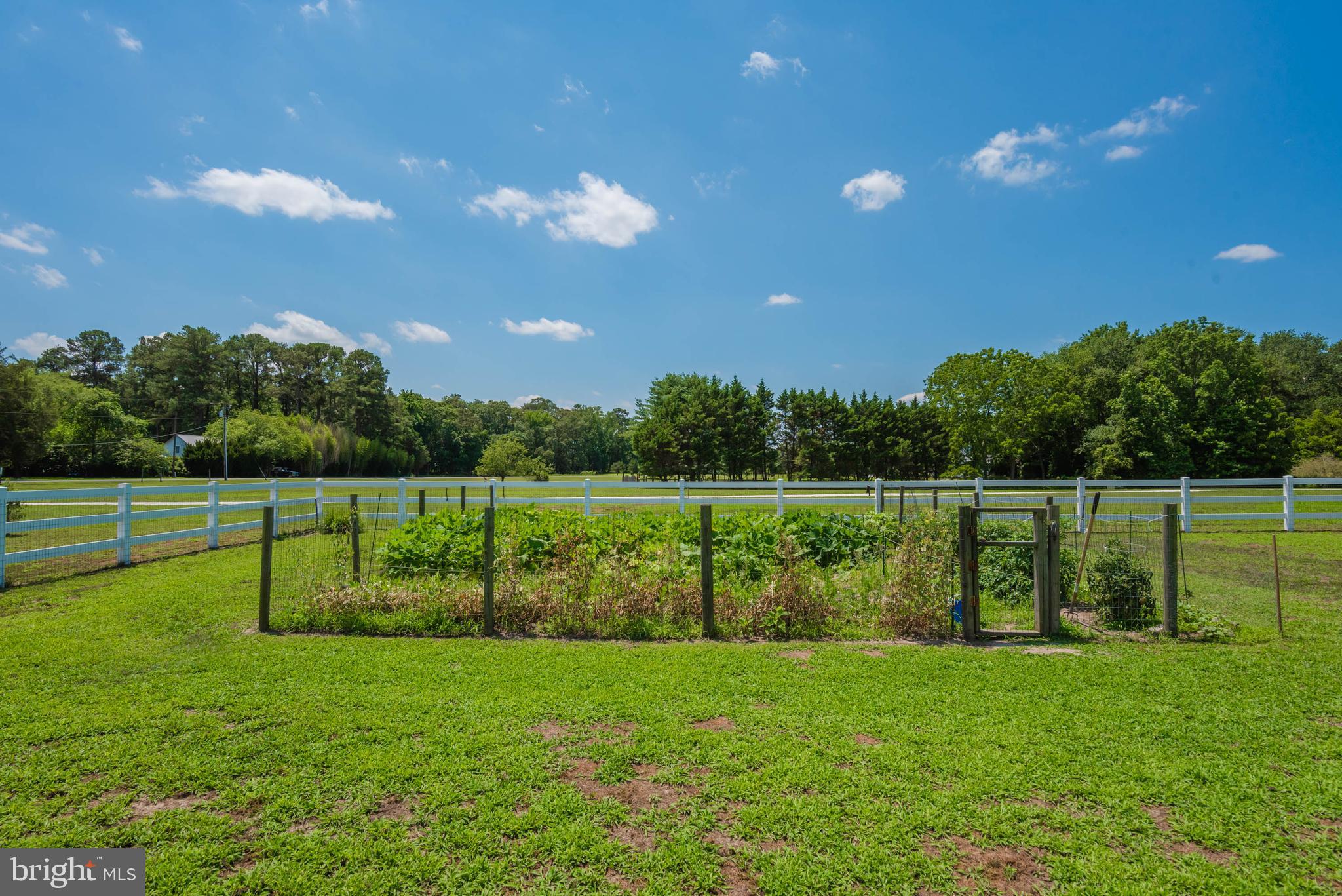 10221 Hammond Road Bishopville, MD 21813 - Photo 60 of 77 Gallery Image 60