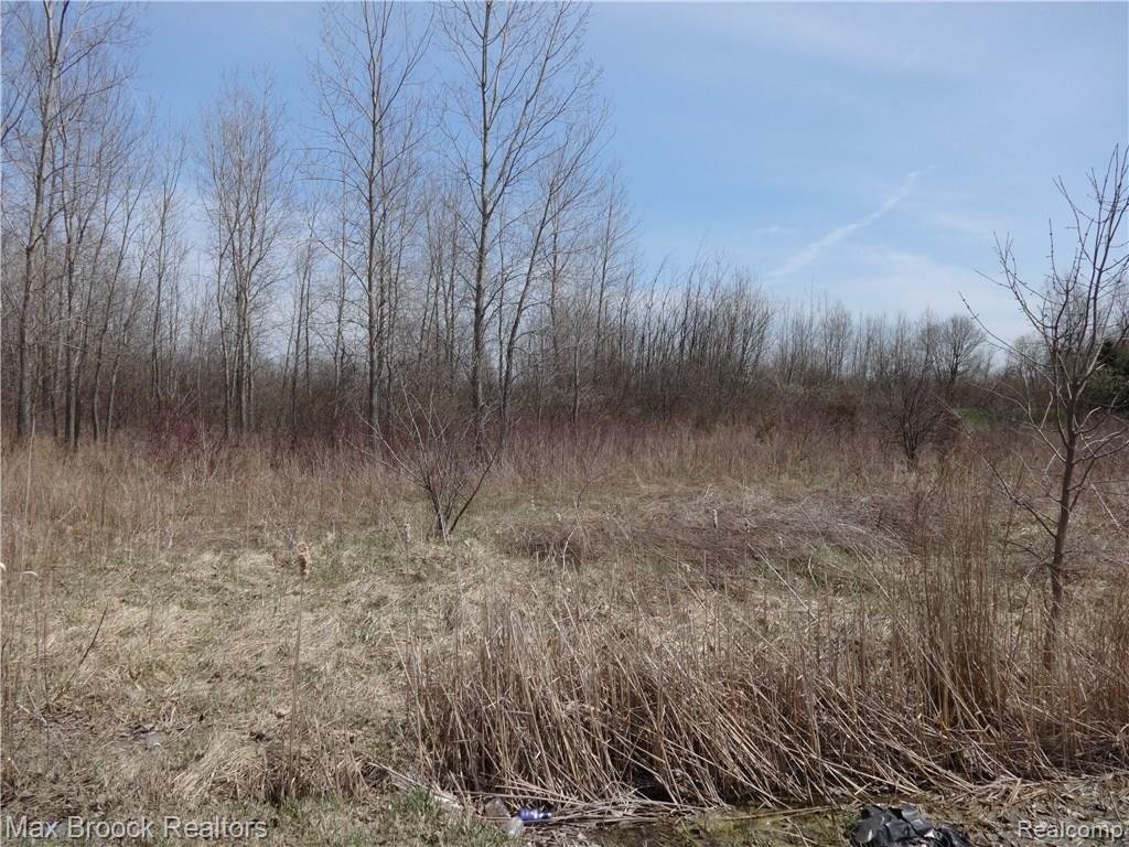 1526300007 Torrey Road Swartz Creek, MI 48439 - Photo 2 of 2 Gallery Image 2
