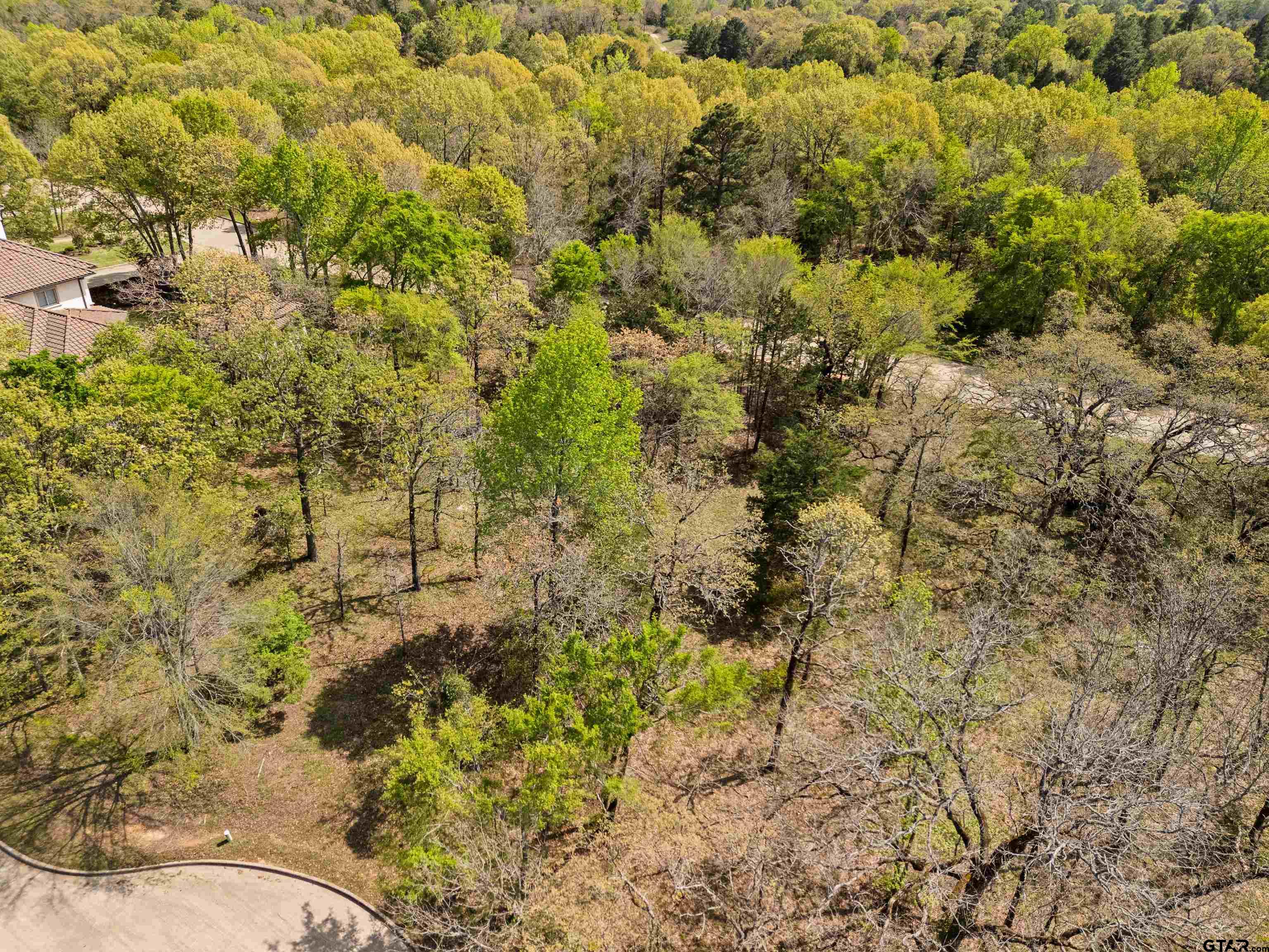 4856 Nicklaus Court Tyler, TX 75709 - Photo 10 of 32 a view of a yard with pathway