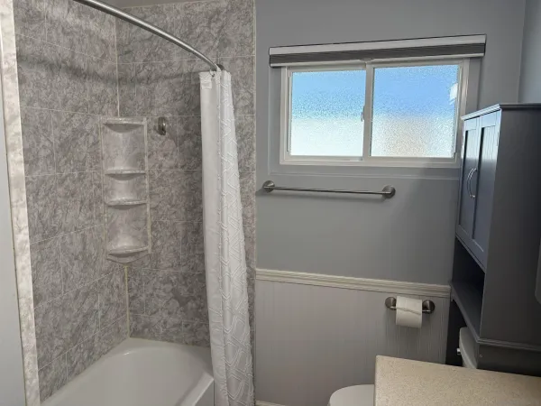 a bathroom with a shower a toilet and a sink