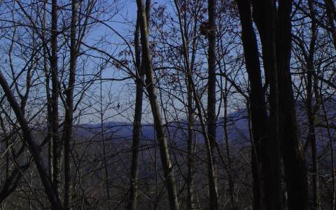 Lot 1 Price Road Blue Ridge, GA 30513 - Photo 1 of 1 Main View