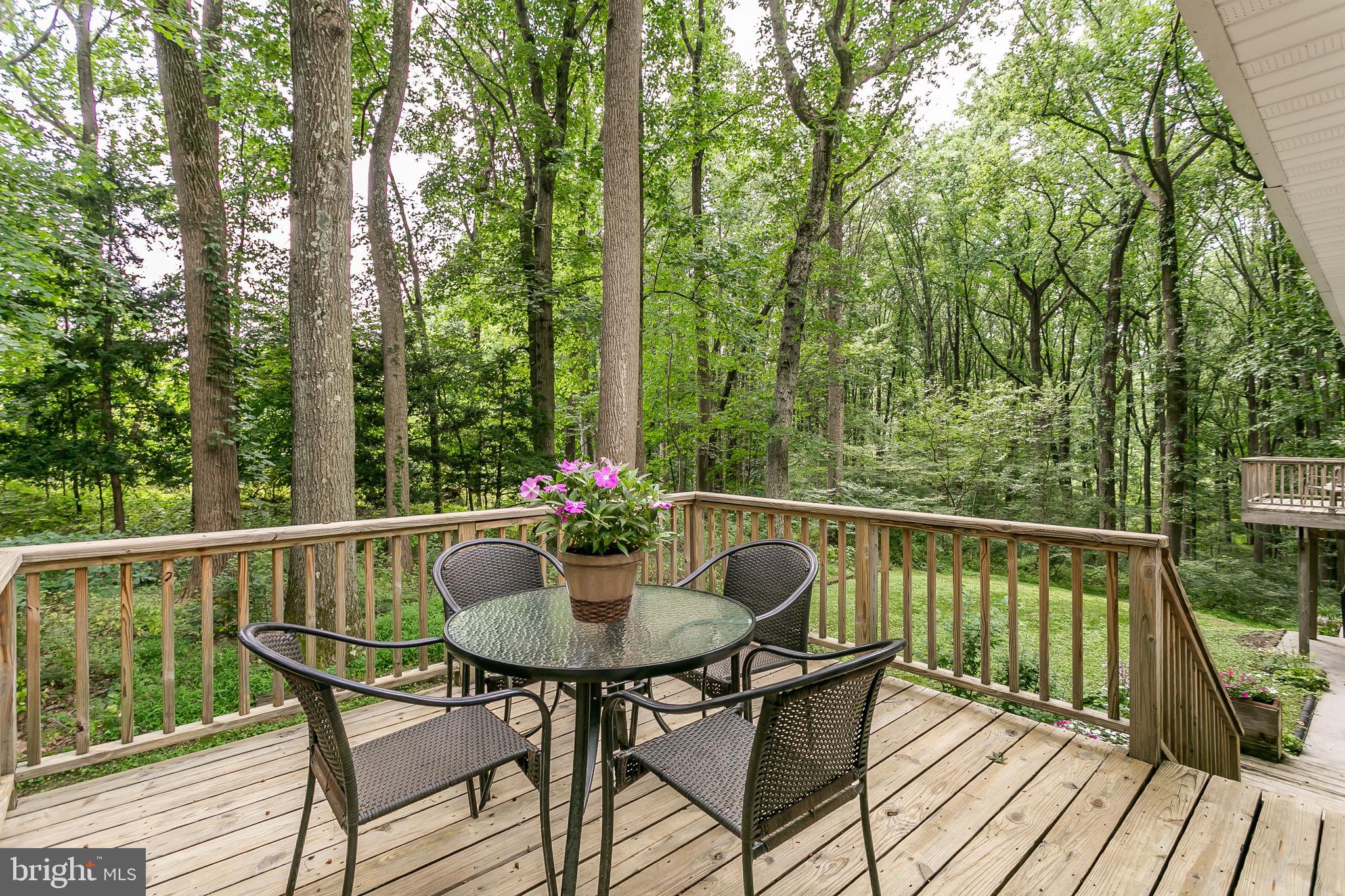 1701 Parkvue Road Fallston, MD 21047 - Photo 37 of 59 VIEW FROM DECK OFF KITCHEN