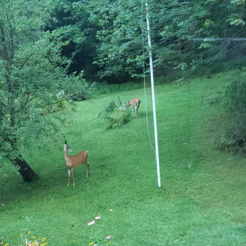 $385,000 | 118 N Road, Sunapee, NH 03782