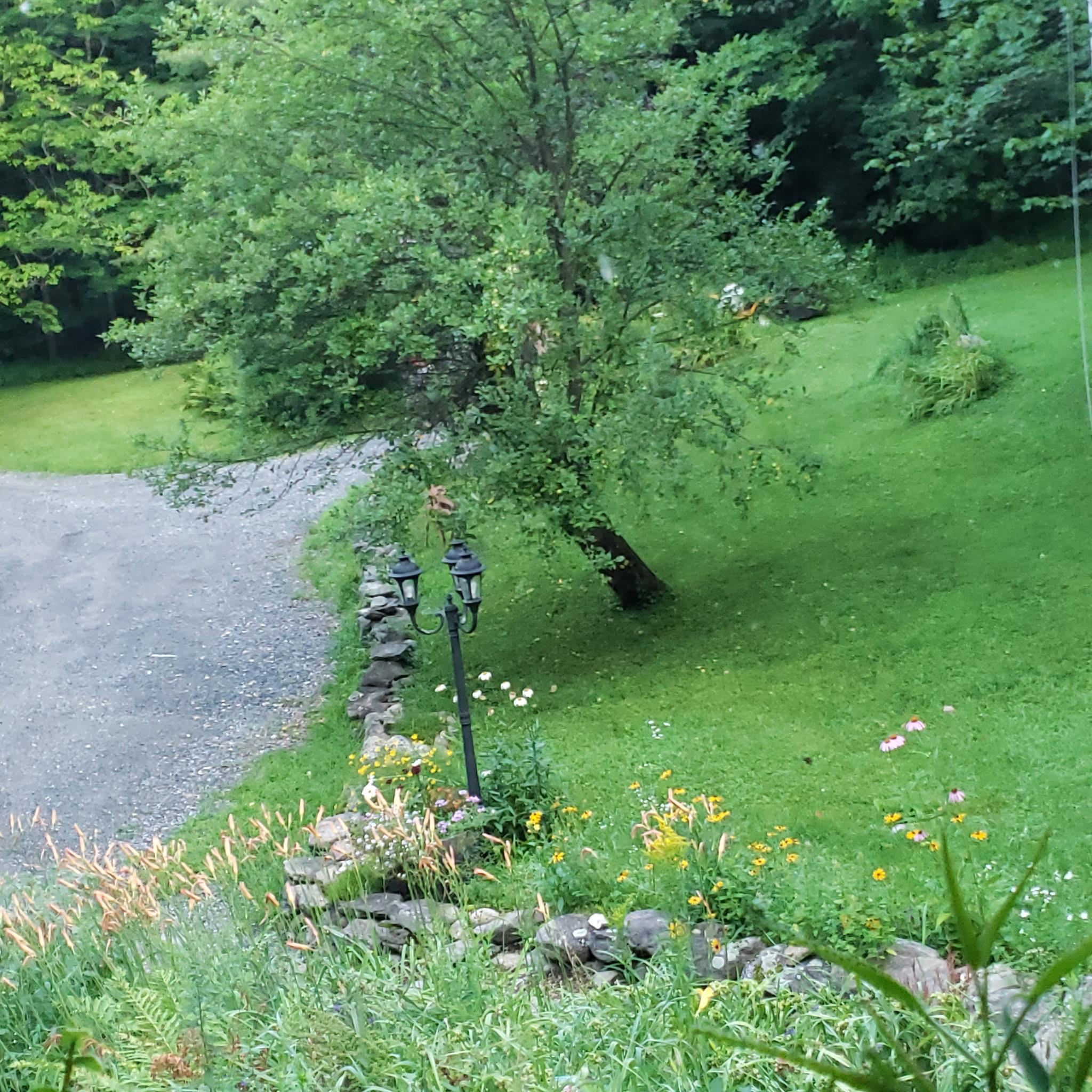 118 N Road Sunapee, NH 03782 - Photo 33 of 35