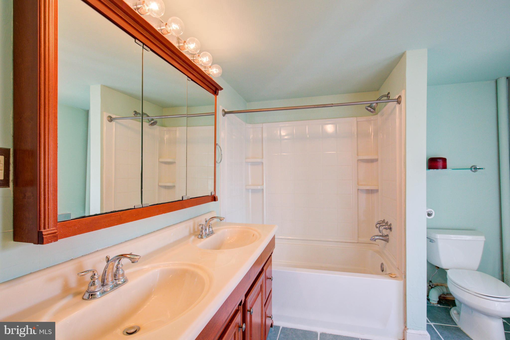 982 Berrys Ferry Road White Post, VA 22663 - Photo 22 of 30 Bath