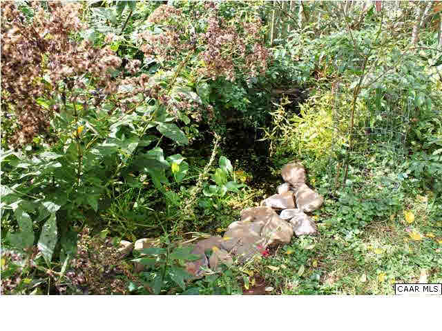 129 Goodman Street Charlottesville, VA 22902 - Photo 22 of 25 a view of a garden
