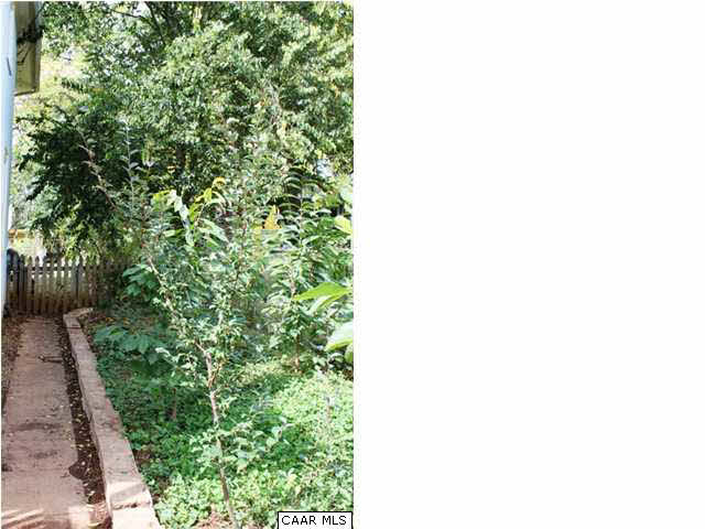 129 Goodman Street Charlottesville, VA 22902 - Photo 24 of 25 a picture of a wall with a plant in front of it