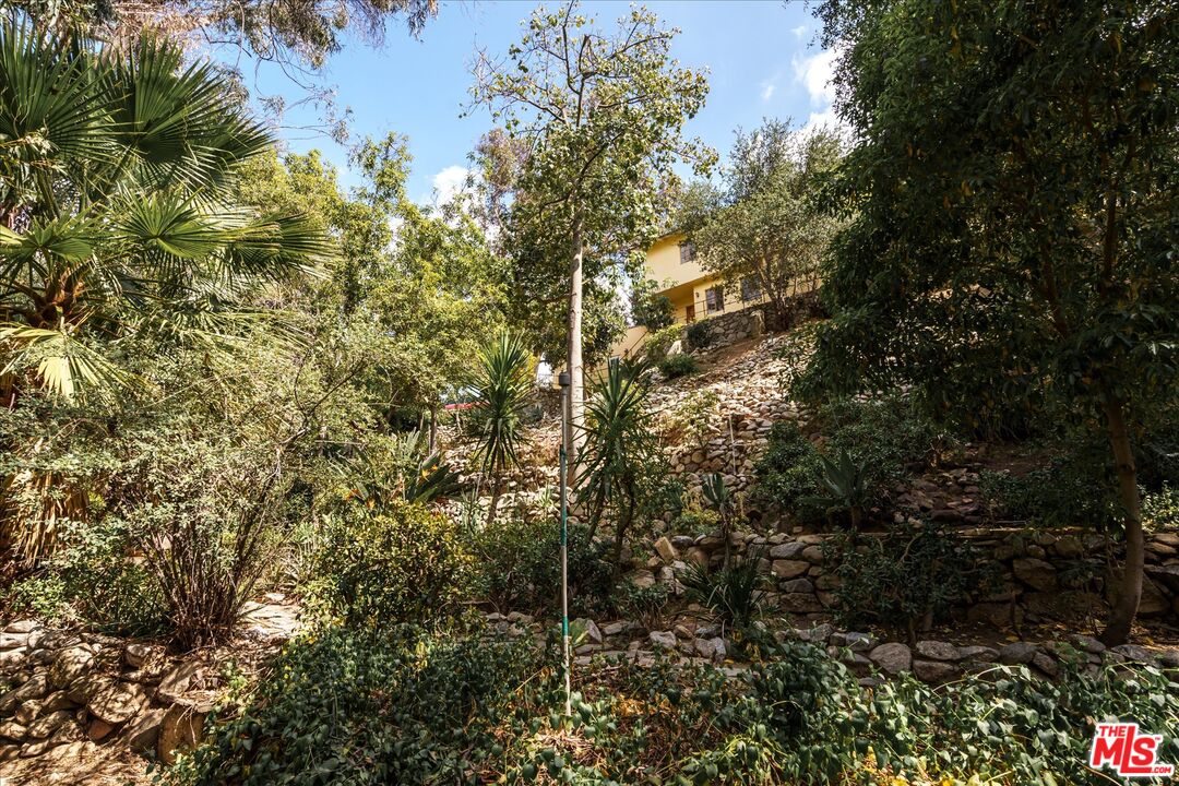 11111 Tujunga Canyon Boulevard Tujunga, CA 91042 - Photo 31 of 38 a view of forest