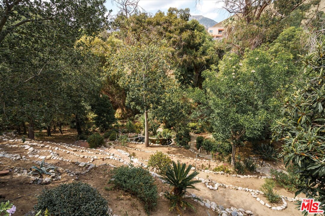 11111 Tujunga Canyon Boulevard Tujunga, CA 91042 - Photo 32 of 38