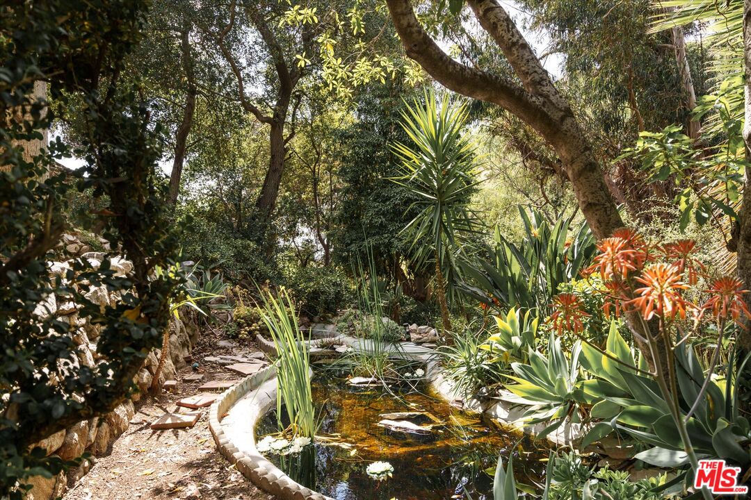 11111 Tujunga Canyon Boulevard Tujunga, CA 91042 - Photo 33 of 38 a view of tree