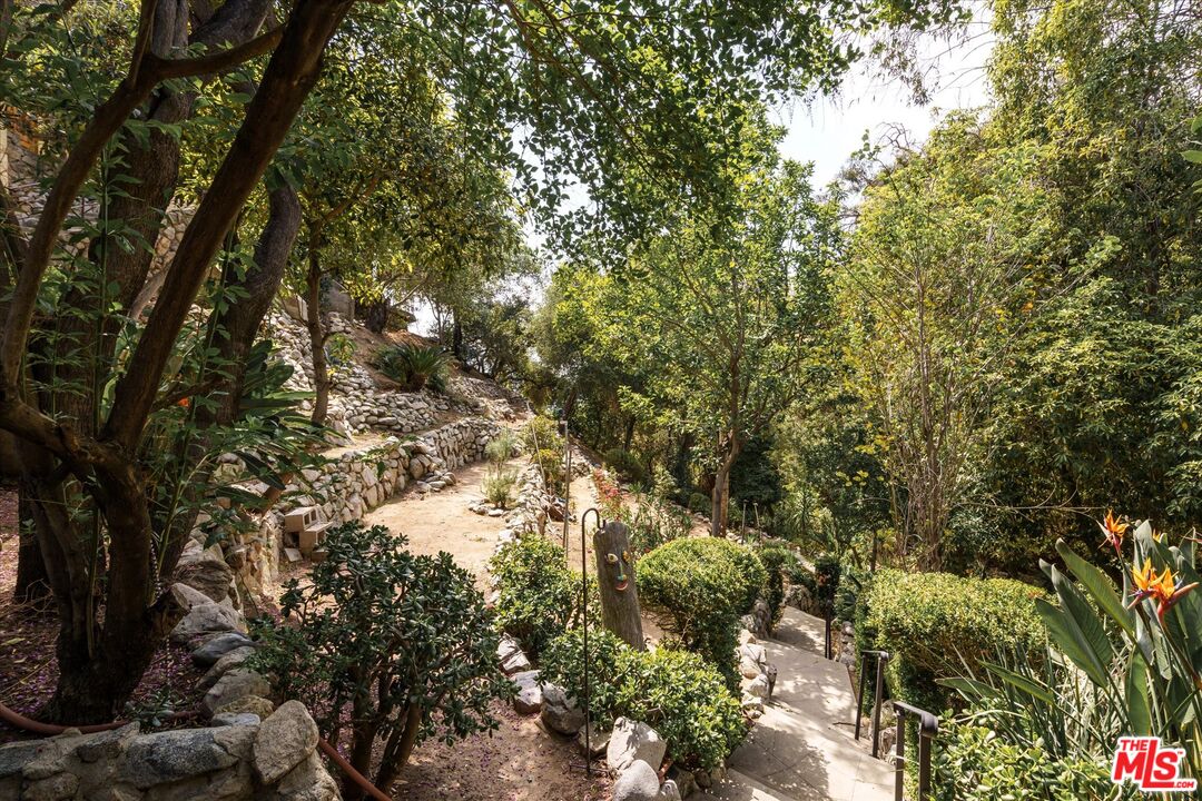 11111 Tujunga Canyon Boulevard Tujunga, CA 91042 - Photo 34 of 38 a view of a tree in a yard