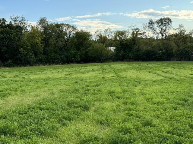 Lt2 Lt2 Lulu Lane East Troy, WI 53120 - Photo 3 of 11 Mature Trees for Privacy