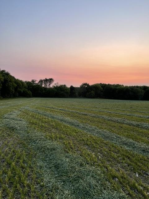 Lt2 Lt2 Lulu Lane East Troy, WI 53120 - Photo 6 of 11 Calm, Serene and Tranquil